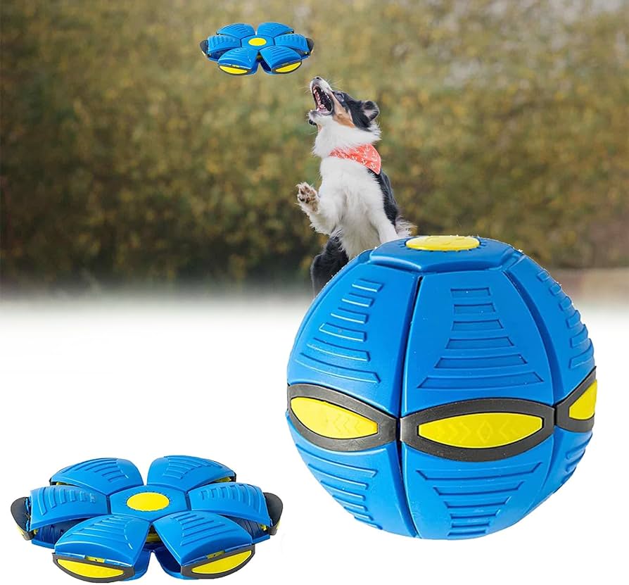 La increíble pelota voladora - PET TOY™ - OFERTA 2X1