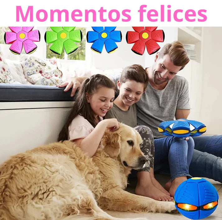 La increíble pelota voladora - PET TOY™ - OFERTA 2X1