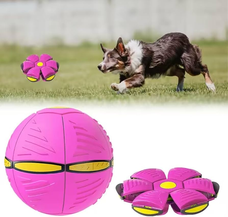 La increíble pelota voladora - PET TOY™ - OFERTA 2X1 - (LIQUIDACIÓN POR CIERRE)