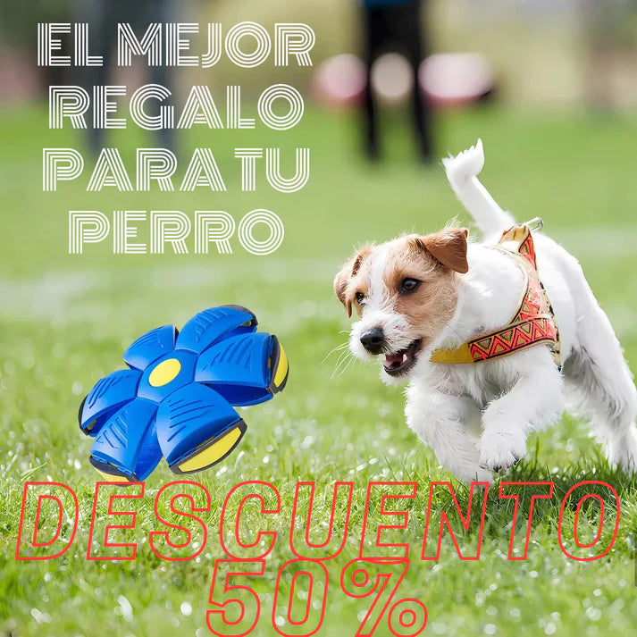 FlyBall™ Pelota Voladora para Perros - (LIQUIDACIÓN POR CIERRE)