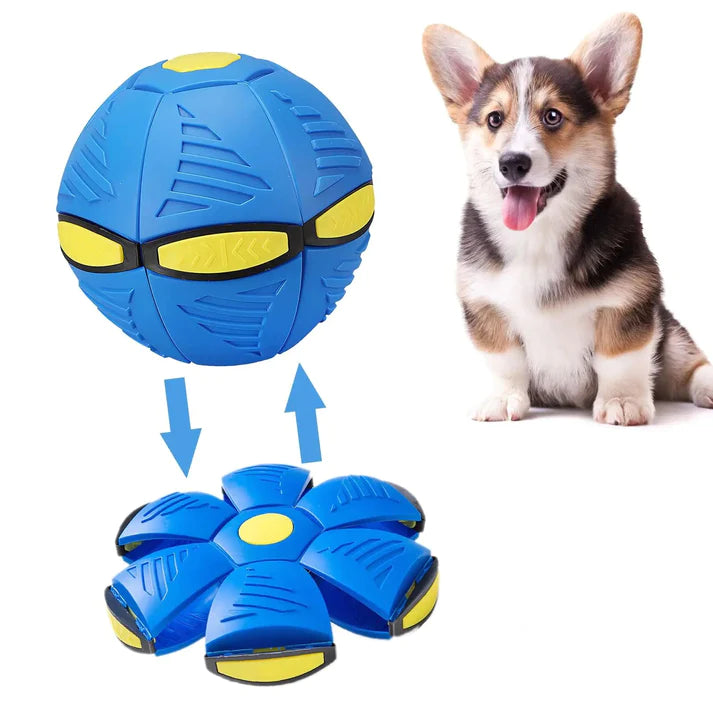 FlyBall™ Pelota Voladora para Perros - (LIQUIDACIÓN POR CIERRE)