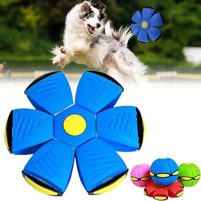 FlyBall™ Pelota Voladora para Perros - (LIQUIDACIÓN POR CIERRE)